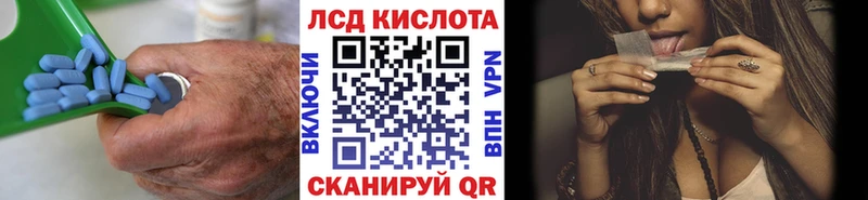 даркнет Telegram  Бологое  ЛСД экстази кислота  OMG как войти 